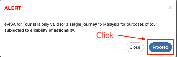 Step 2: Begin Your Visa Application Process (3)