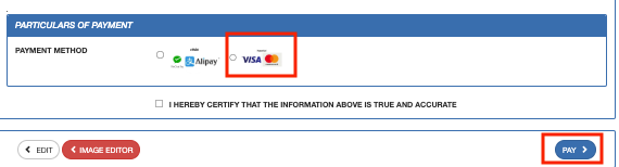 Step 2: Begin Your Visa Application Process (16)