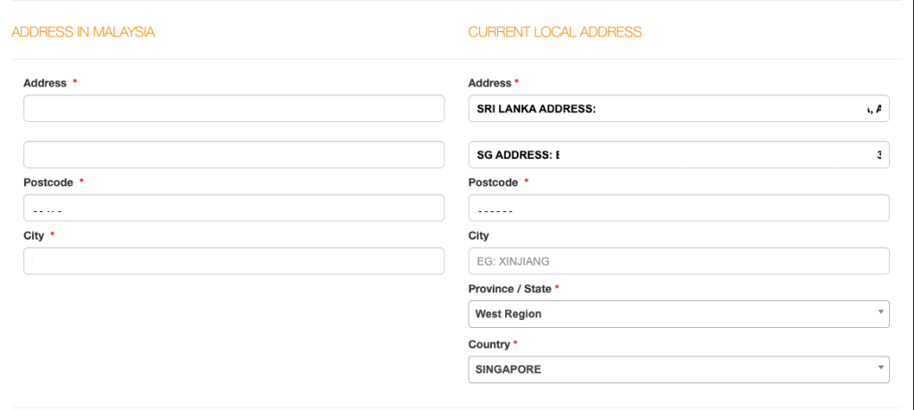 Notification of Electronic Visit Pass from ICA Singapore (2)